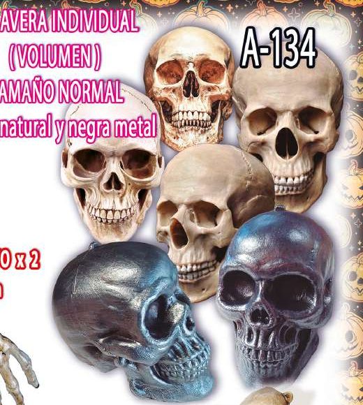 Calavera individual en volumen tamaño normal