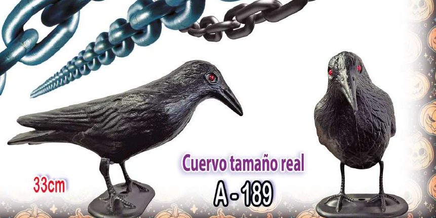 Cuervo tamaño real
