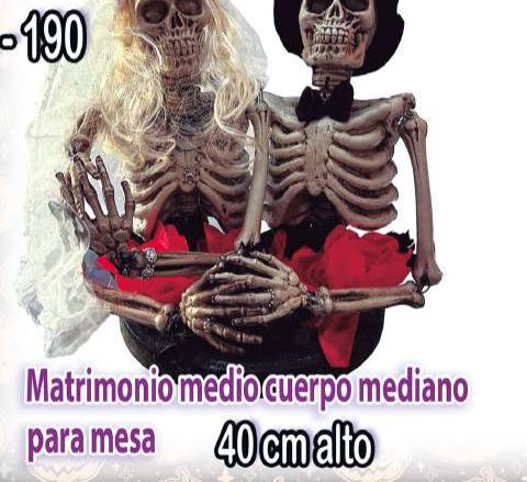 Matrimonio medio cuerpo mediano para mesa